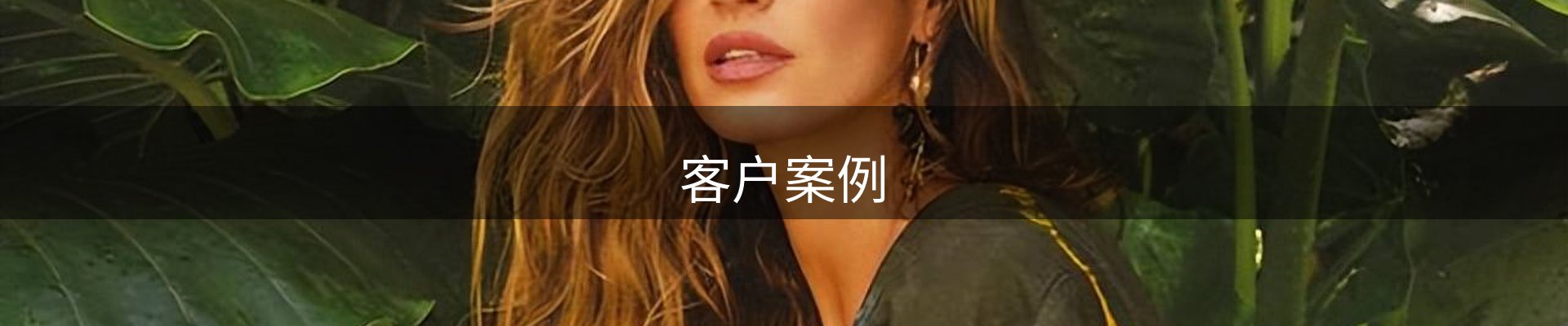 客户案例